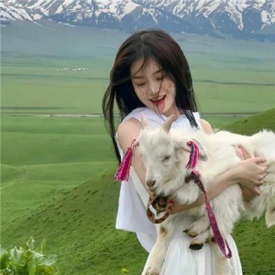 师控风暴